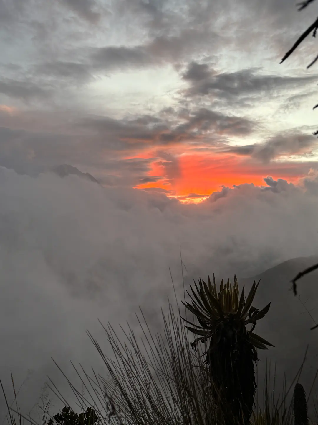 Atardecer naranja intenso sobre un mar de nubes con un frailejón en silueta