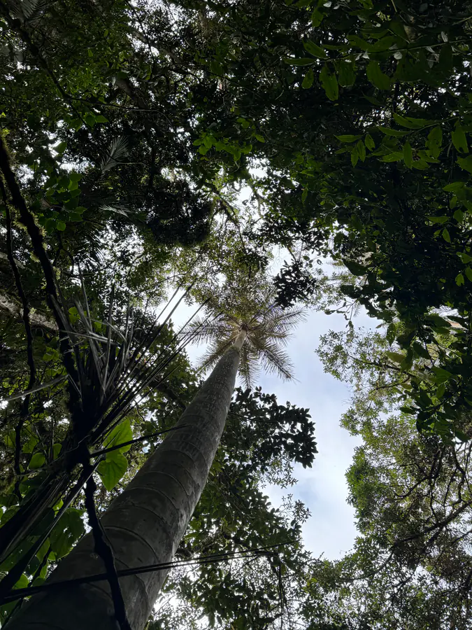 Paisaje de montaña en una experiencia Kora